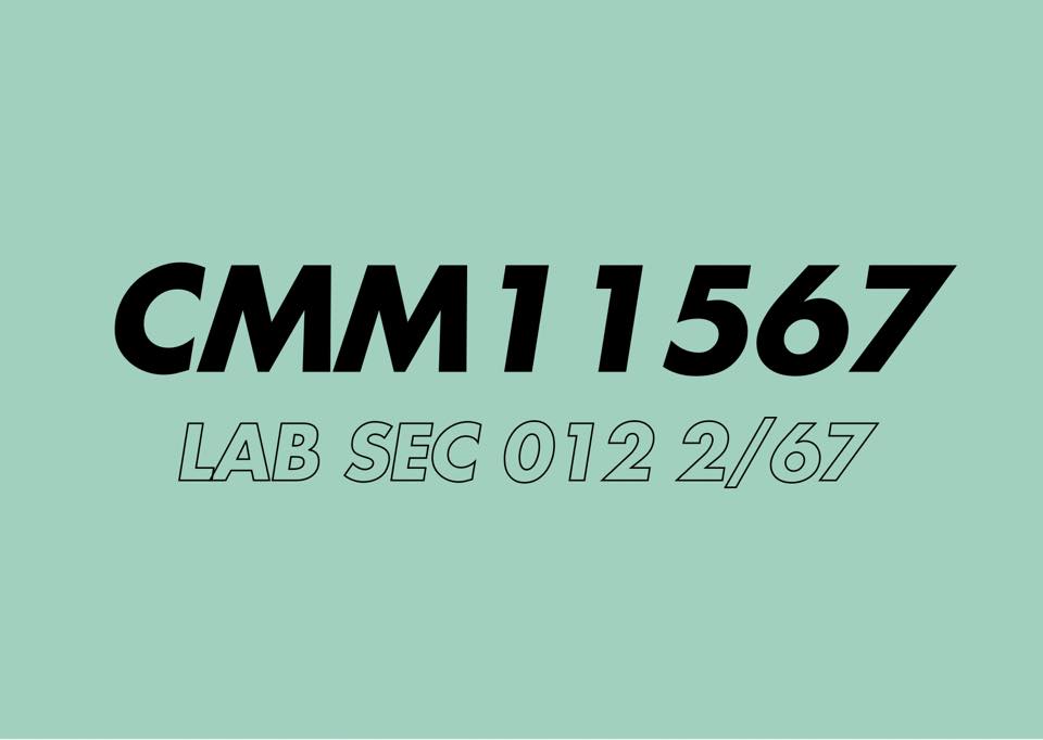 CMM11567 LAB SEC.012 | Facebook