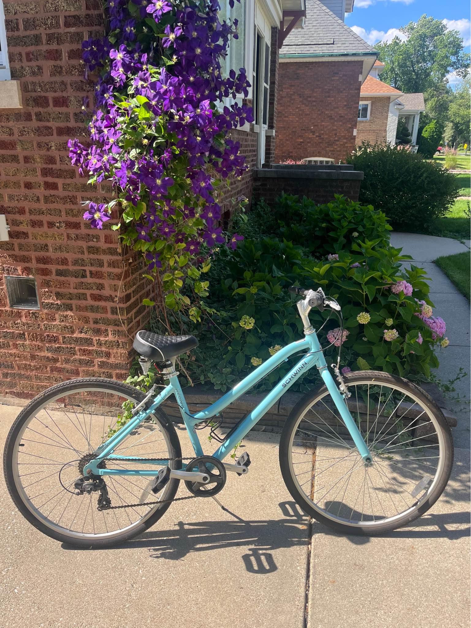 schwinn median bicycle Network 3.0 700c 700c White Hybrid Bike Perfect for men and women Campus Bike Shop #46 Schwinn