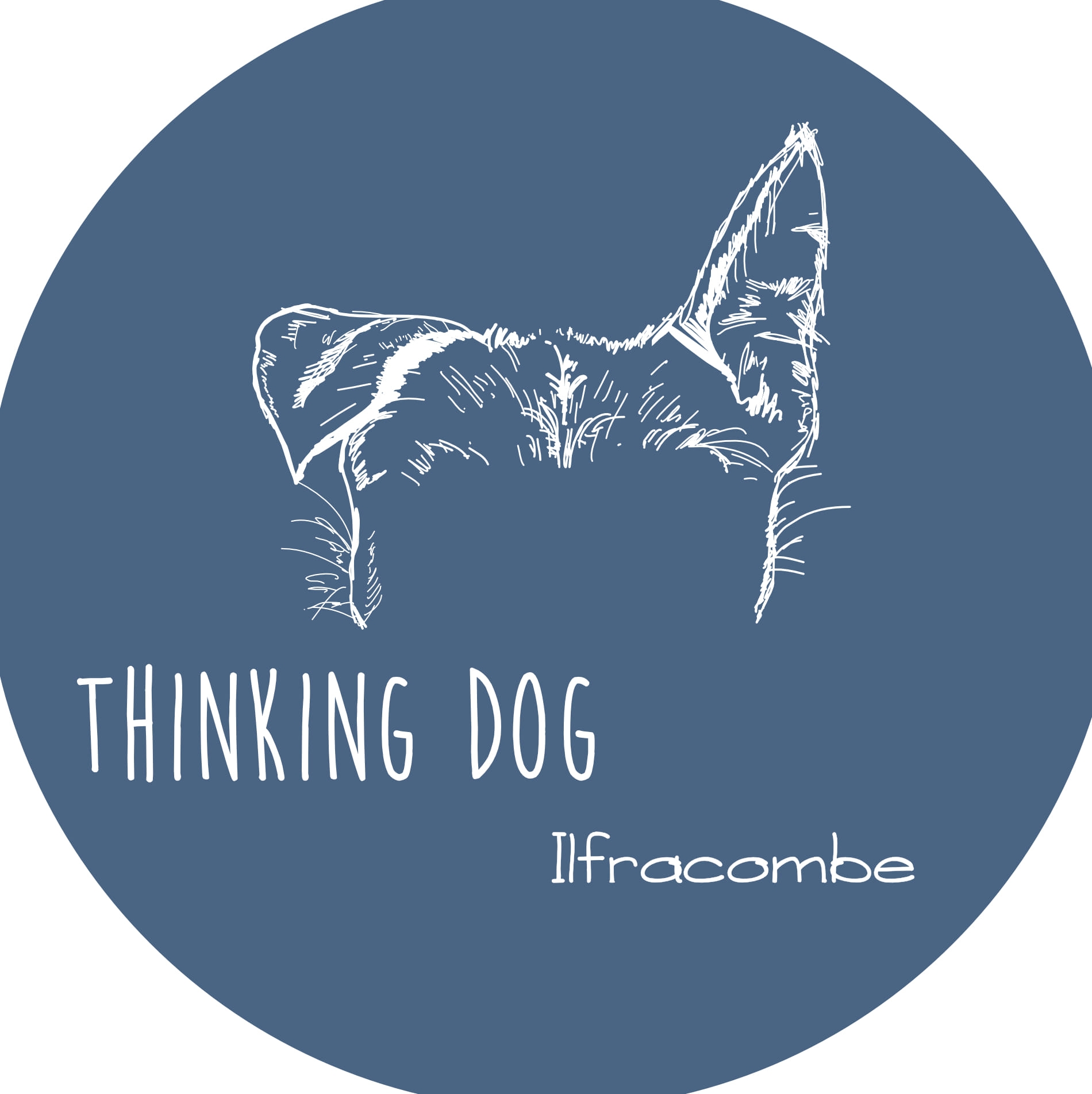 must-be-walk-oclock-squished-nose-and-all-thinking-dog-ilfracombe