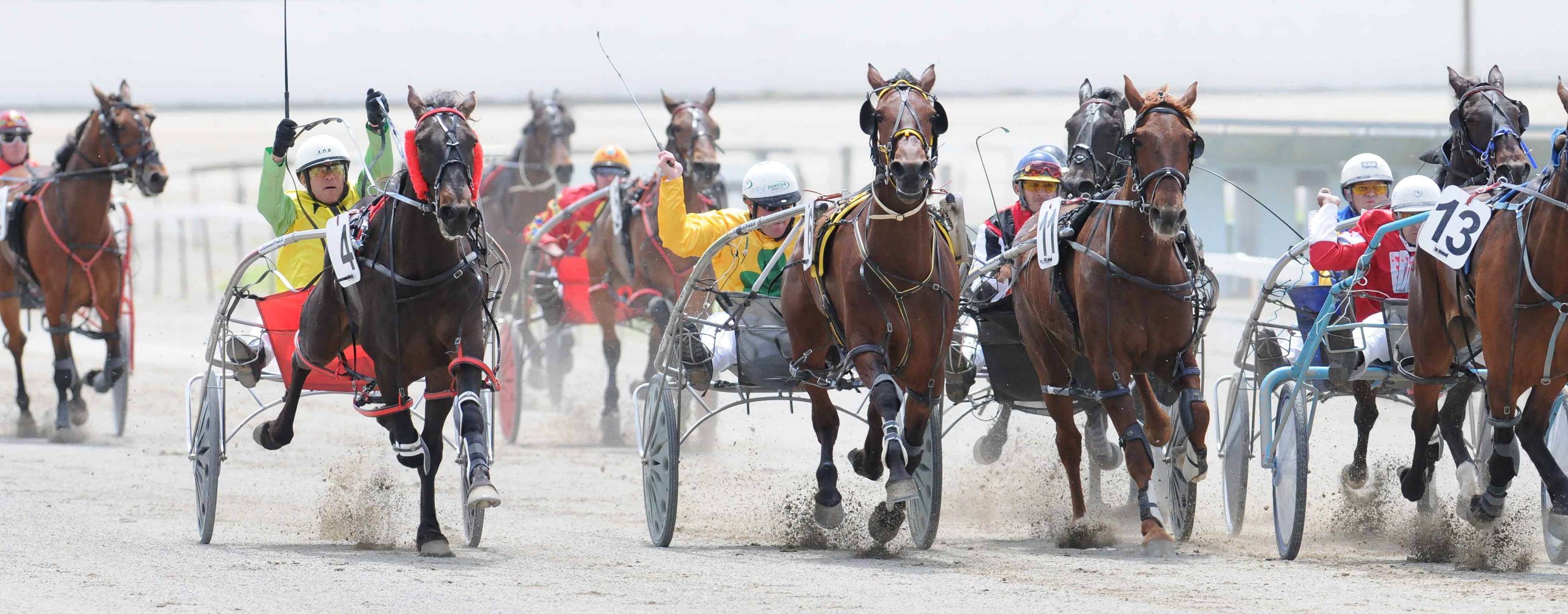 The Manawatu Harness... - Manawatu Harness Racing Club | Facebook