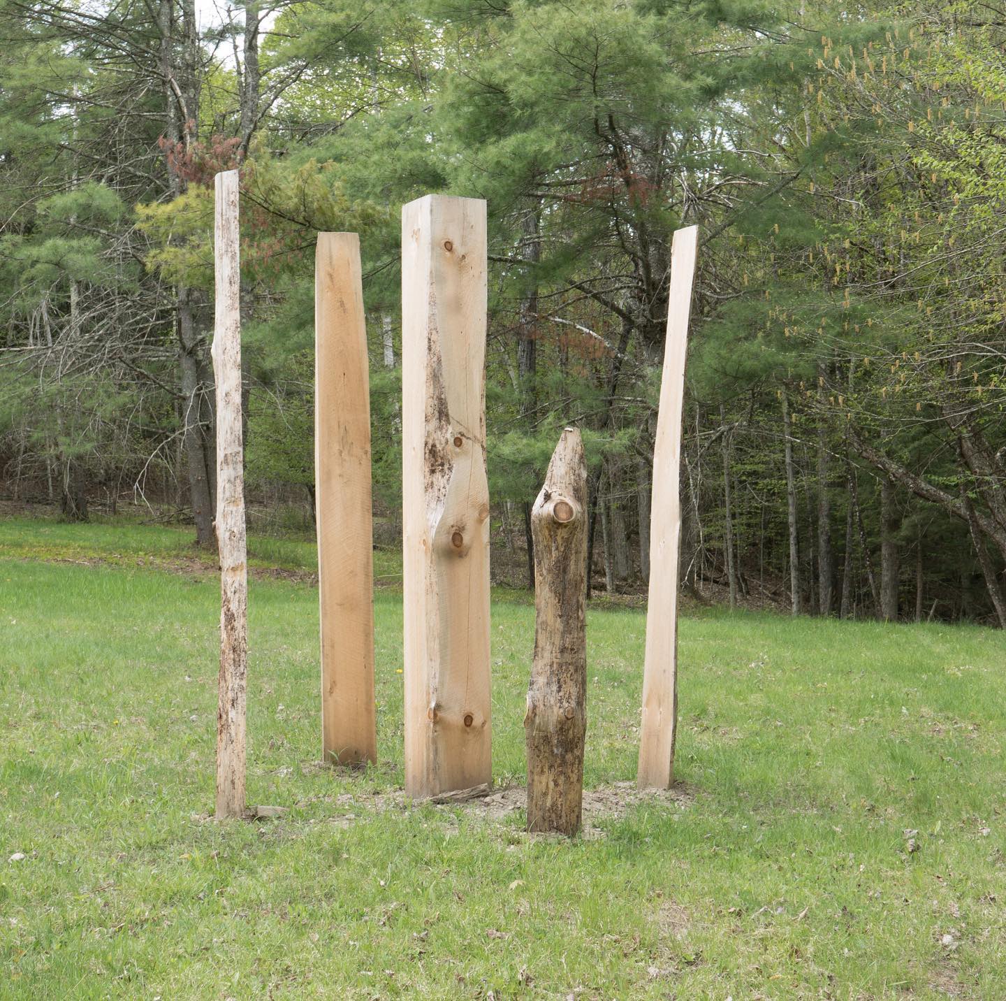 Tree Squared is part of Continuum, the... - Site and Insight