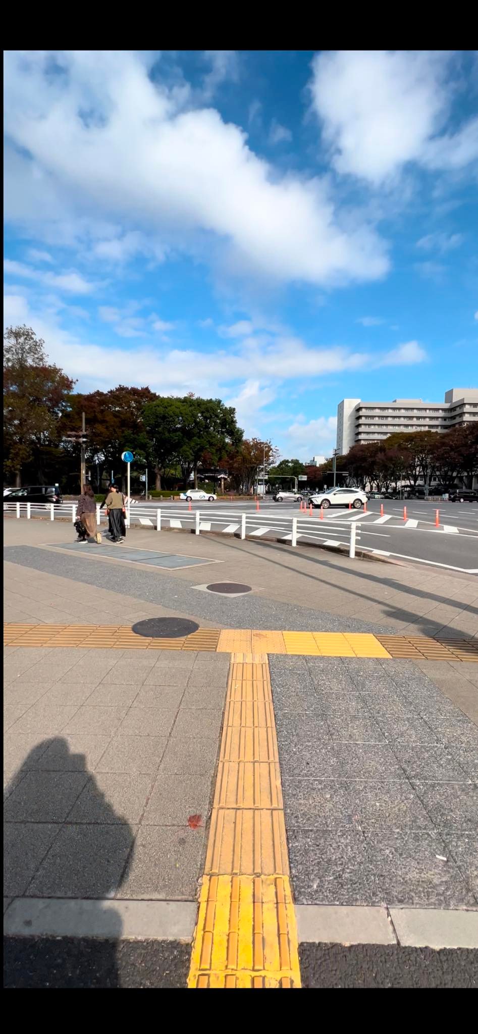 レア❗️空から見た名古屋市 地図・旅行ガイド - 地図・旅行ガイド