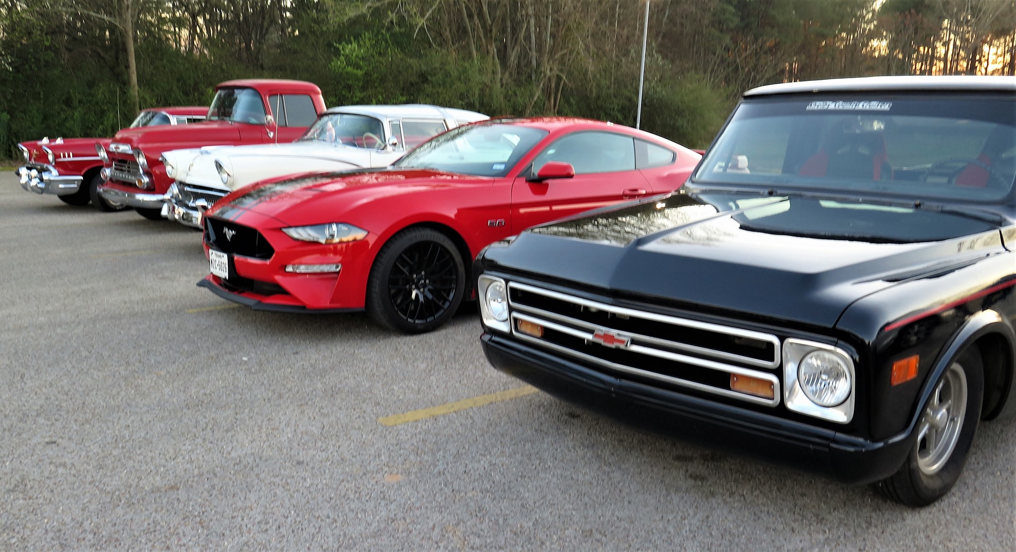 ShelbyCounty Cruisers