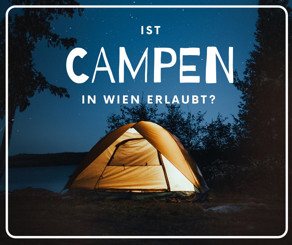 dwt zelte gala Campingartikel Schaumstoffwulst für Plus, 070/329 Auto & Motorrad Sizes:2X-Small Speedster TITAN Keuken