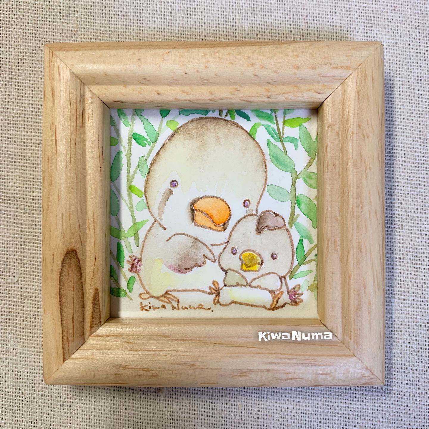 Kiwanuma 錦華鳥の親子 クチバシの色で分かるかな 大人は朱色で 子供は黄色と茶色 コザクラさんも セキセイさんも クチバシは同じなんだね Popupshop 東急ハンズ梅田店 とり 関西つうしん 鳥好き 可愛い インコ セキセイインコ 羊毛 羊毛