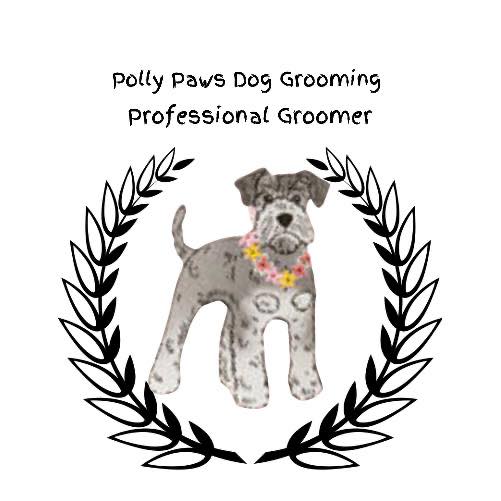 Dear sweet Otis ️😇🐾.#cockapoo #sweetheart | Polly Paws Dog Grooming