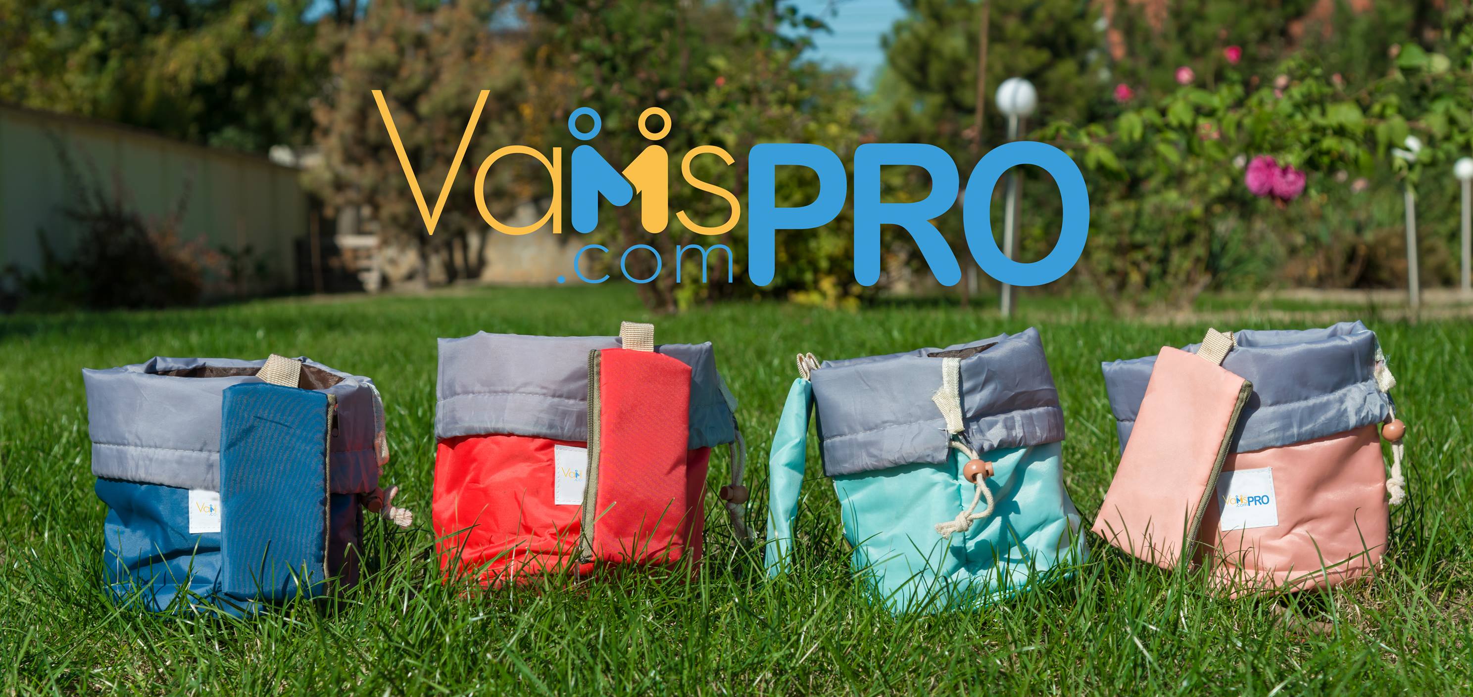 VAMS Pro