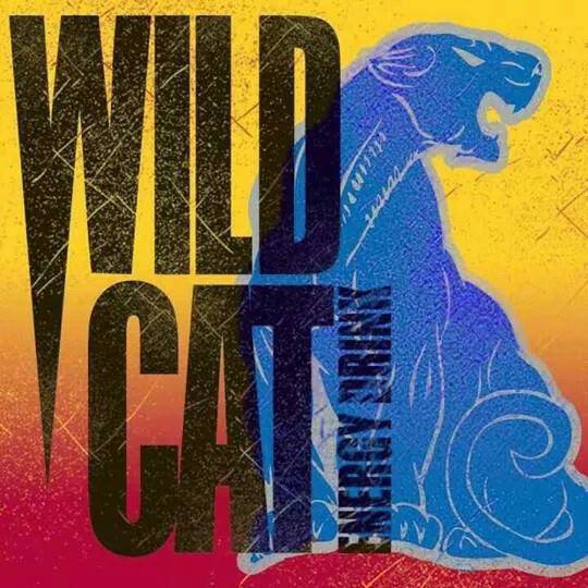 WILD CAT Online