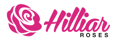 Hilliar Roses | North Boambee Valley NSW