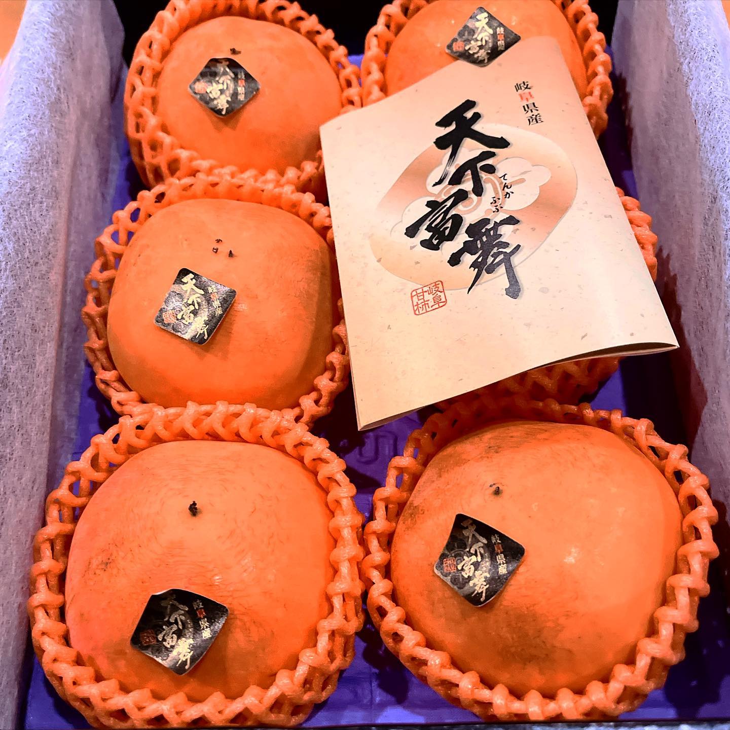 馳走 庵 ひじ り