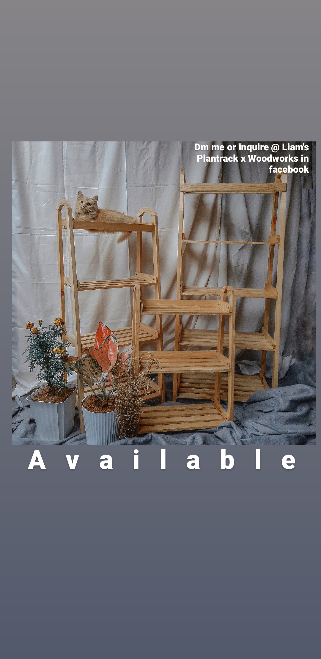 Liam's Plant Rack / Woodworks | Cavite