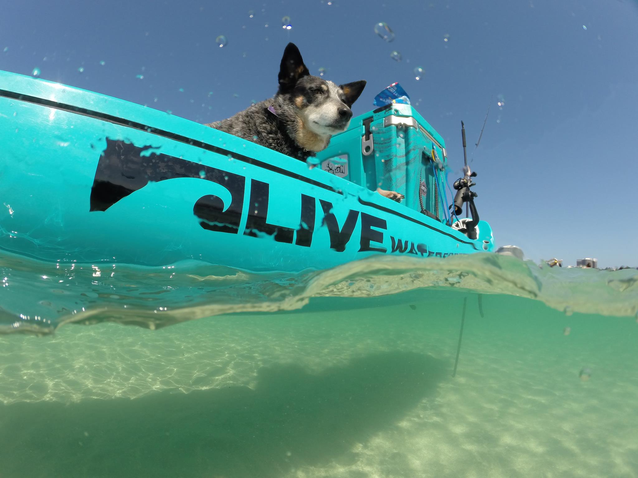 The_Kayak_Doctor