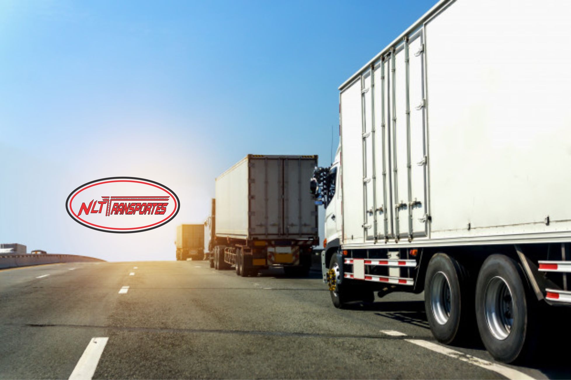 NLT Transportes | São Paulo SP
