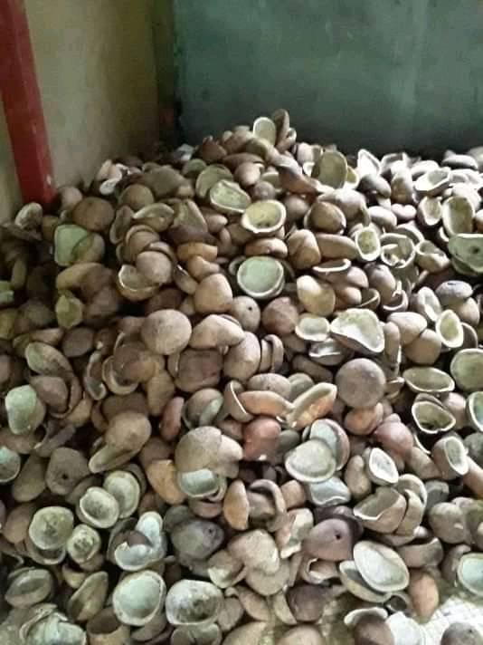 Vanuatu premium copra Revolution | Storage blong premium kopra long ...