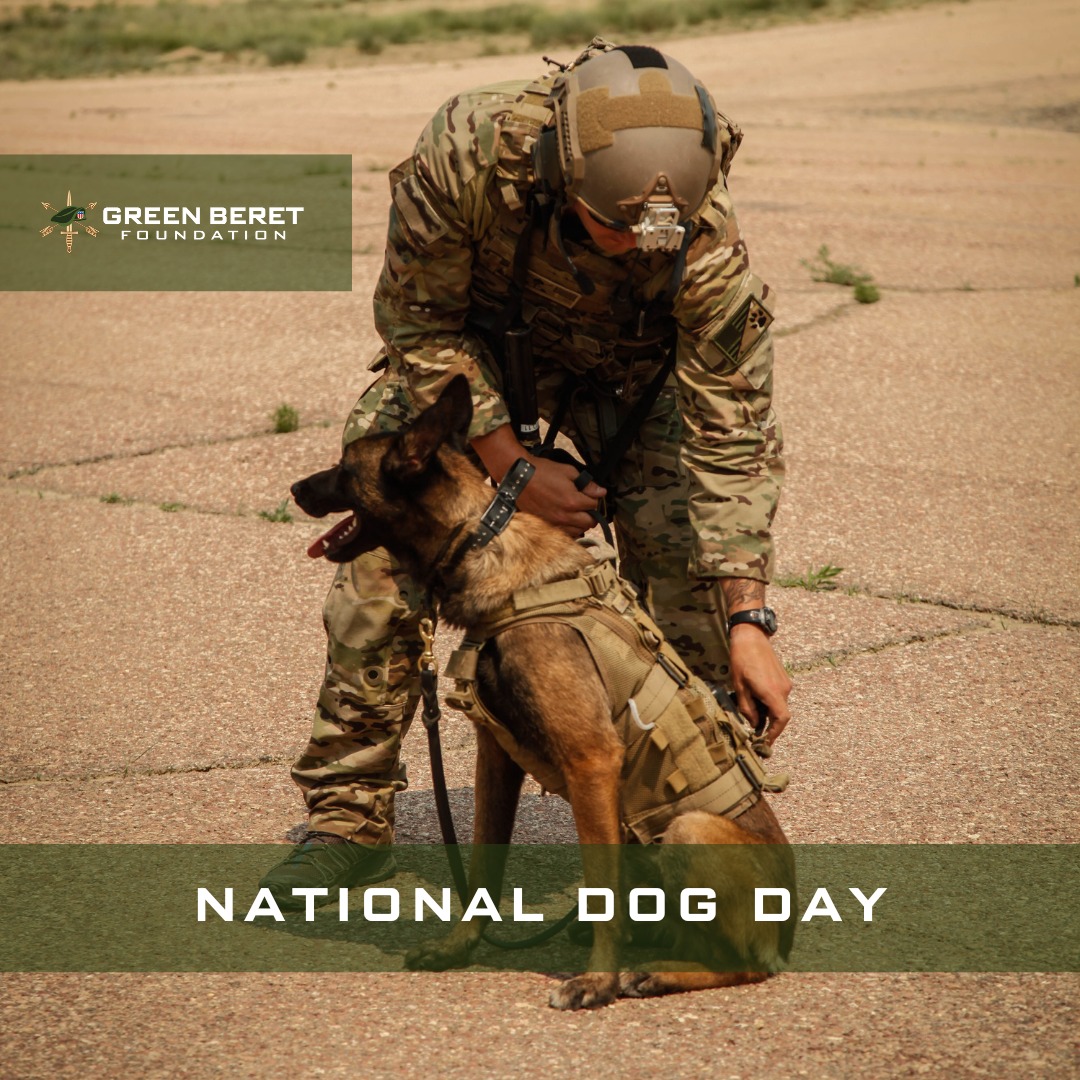 It's National Dog Day! 🐕‍🦺 Did... - Green Beret Foundation | Facebook