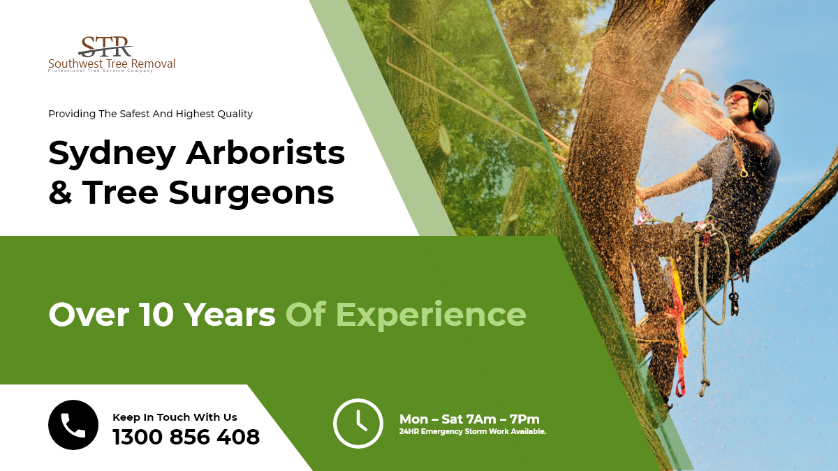 Southwest Tree Removal | Sydney NSW