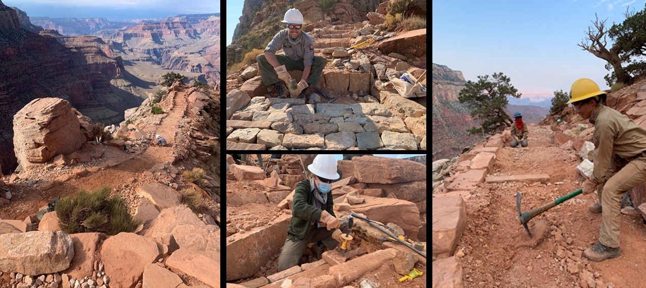 Some of the hardest working... - Grand Canyon National Park