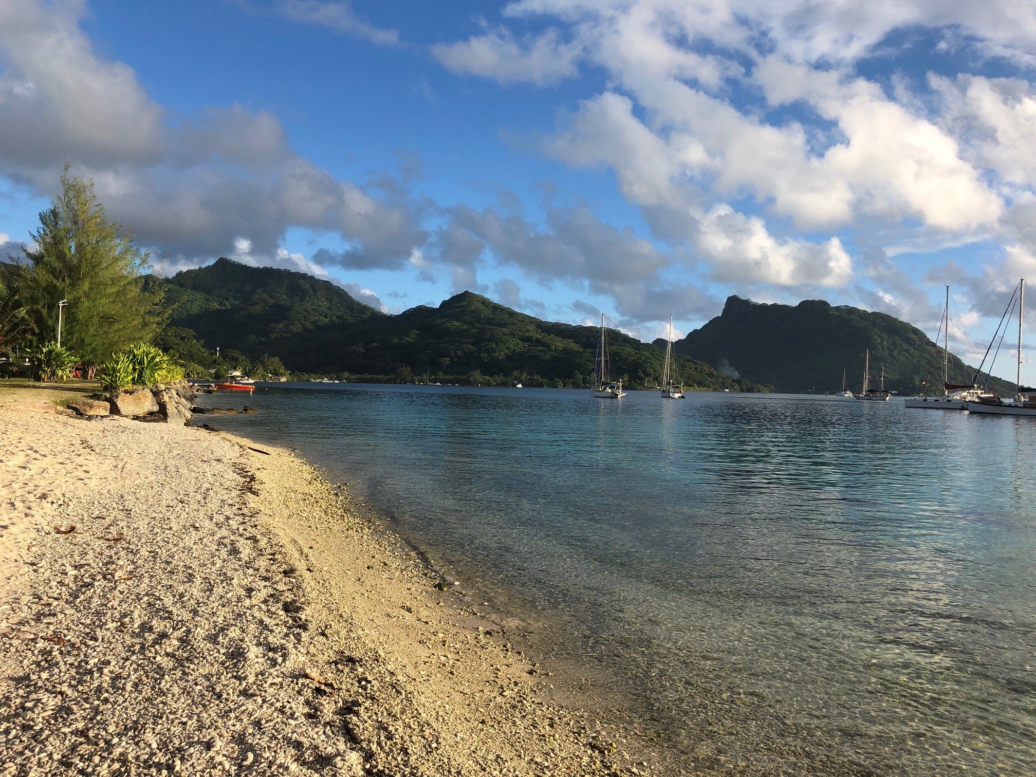 île De Te Fiti En Vrai
