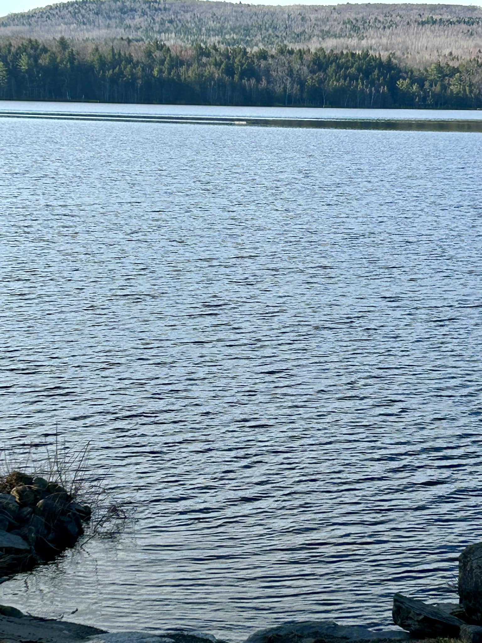 The Sebec Lake Association