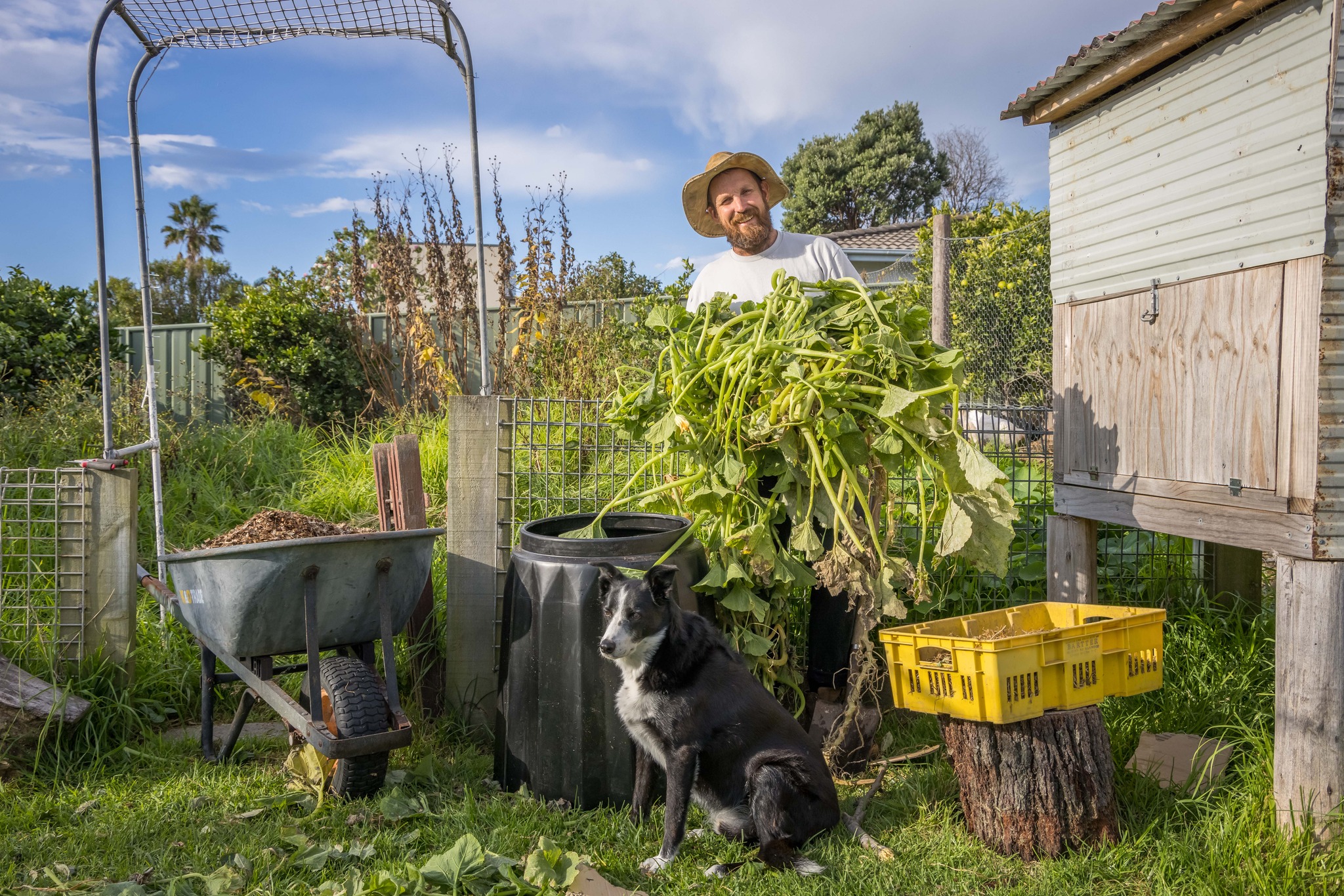 You better be-leaf it! Sunshine... - Sunshine Coast Council | Facebook