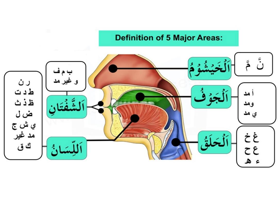 بالقرآن نحيا احكام التجويد برواية حفص عن عاصم صدقة جارية | Facebook