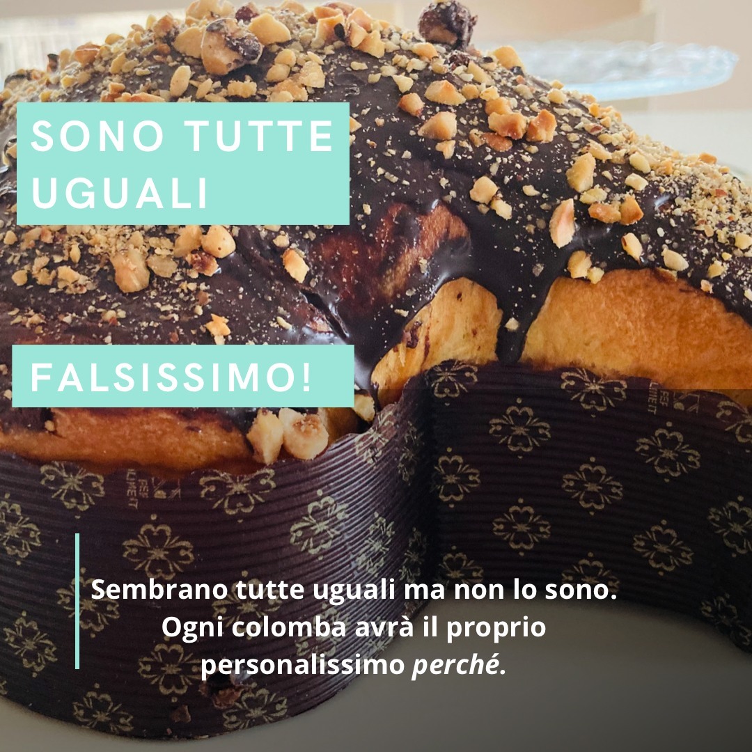 Cuc.bio | Rome