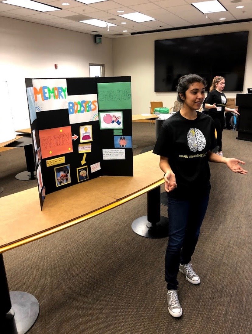 UCLA Project Brainstorm