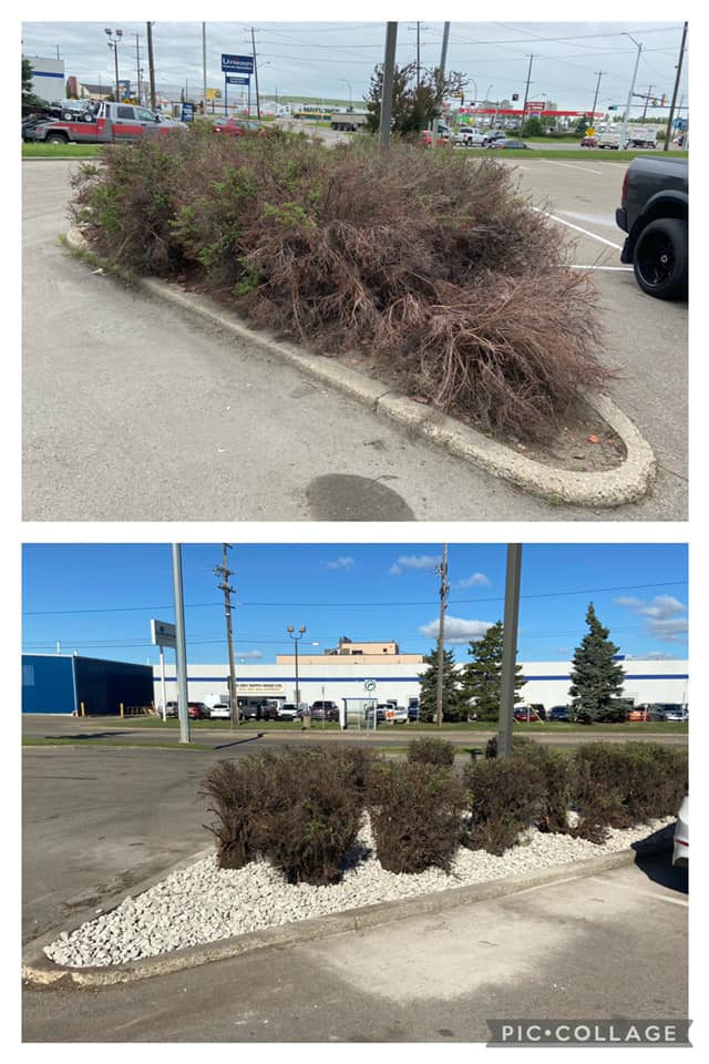 Go Short Lawn Care | Edmonton AB