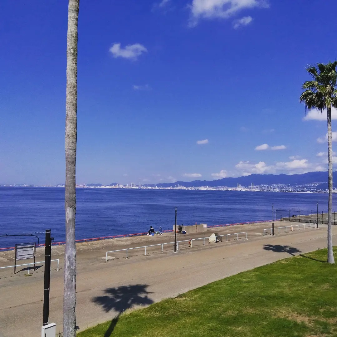 鳴尾 浜 臨海 公園 海 づり 広場