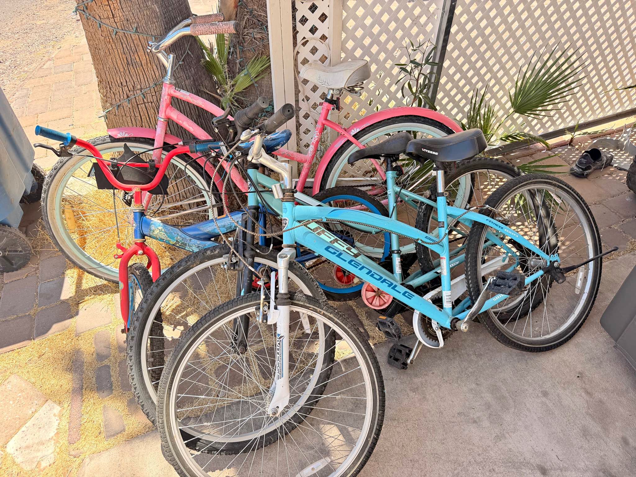 bianchi bicycle arizona Sprint 2026 - Shimano 105 2x12sp speed electronic shifting Stolen 2007 Bianchi 1885