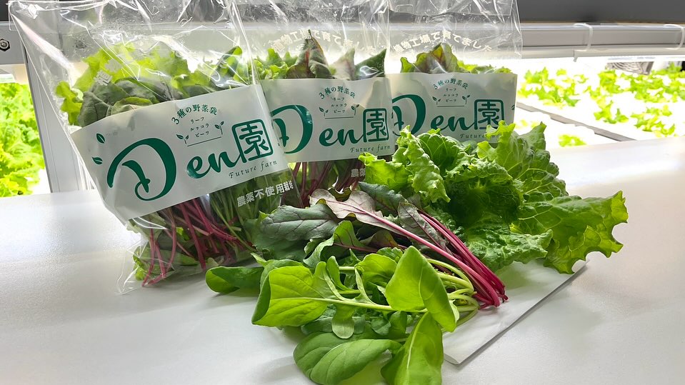Future Farm Den園