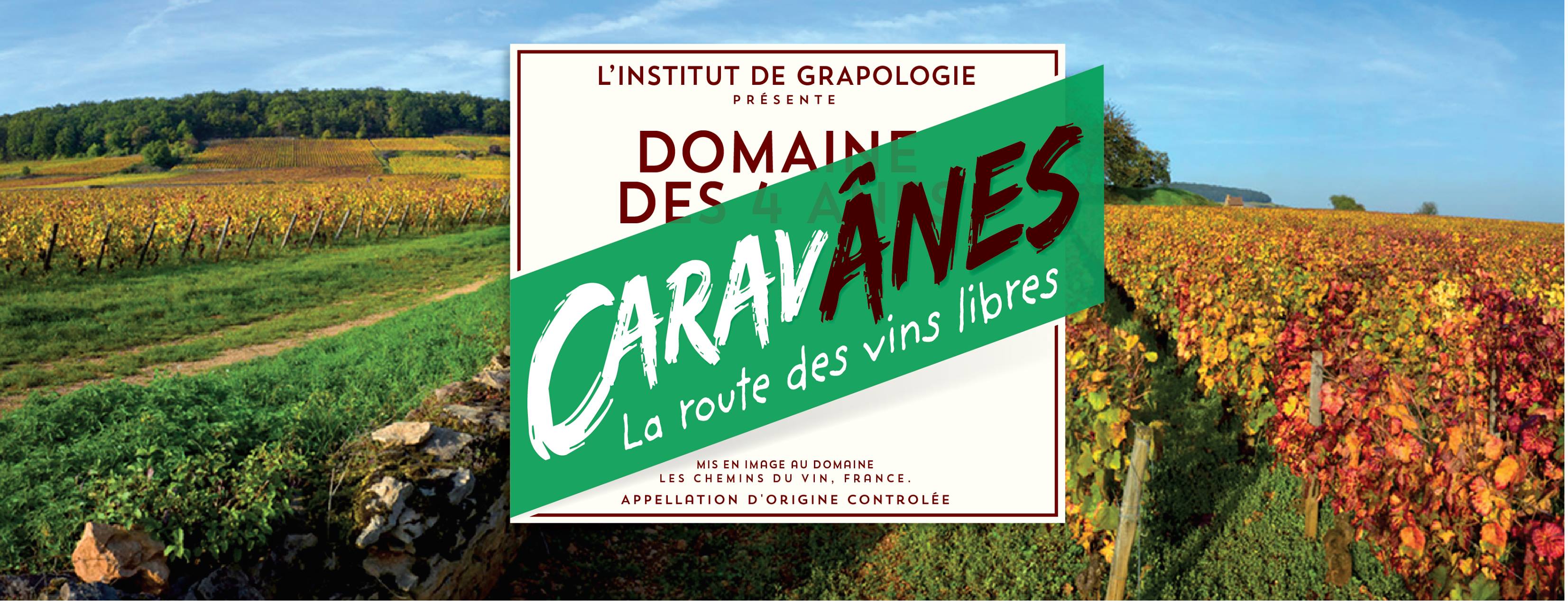 Domaine des 4 Ânes - vin fin fait main
