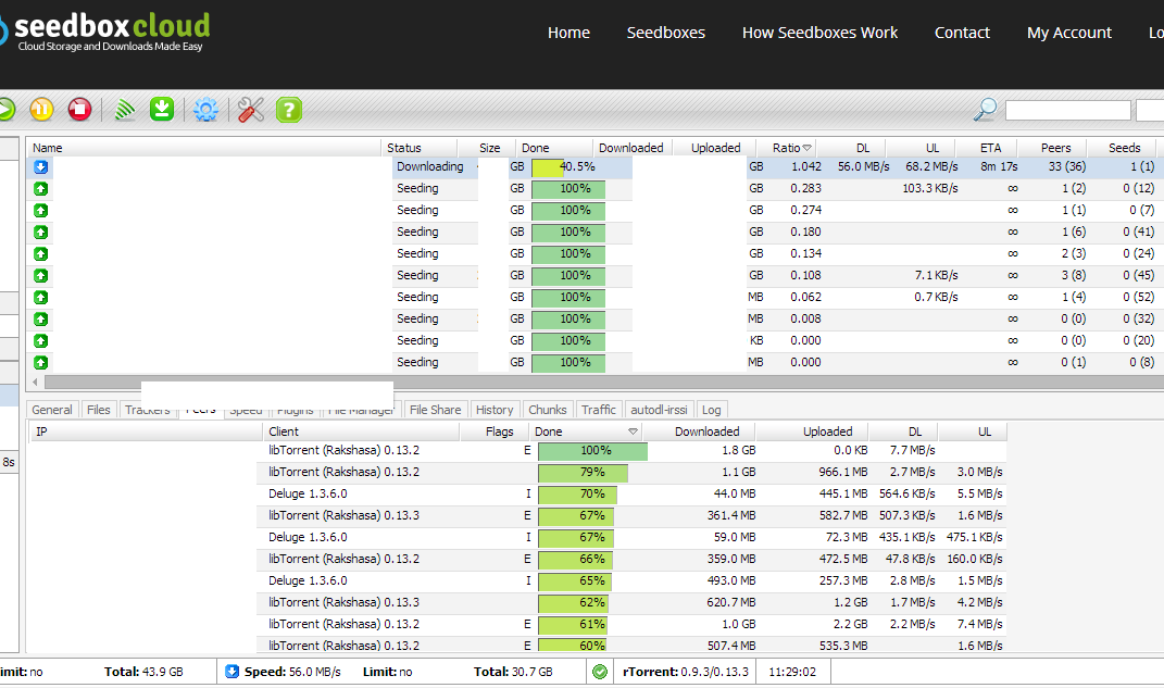 Seedbox Cloud
