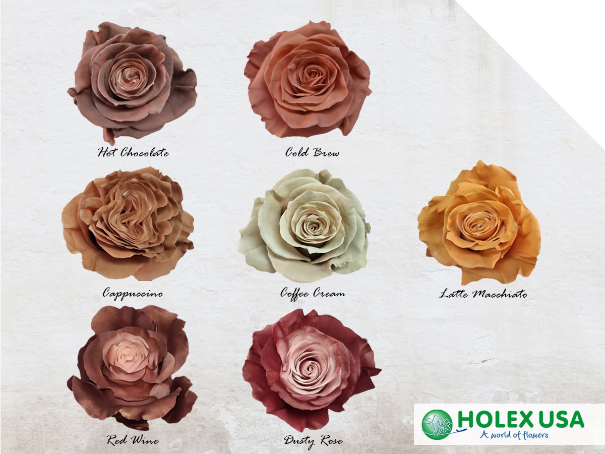 Holex USA - New Color Palette to Fall Weddings! 😍🤩😍 Fall... | Facebook