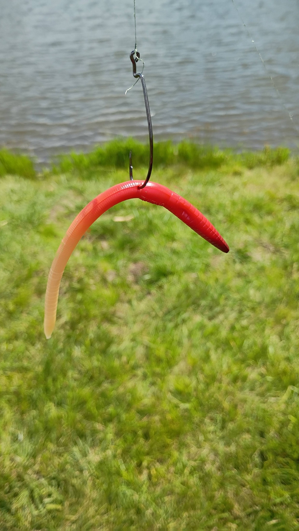 ewg red fishing hook Gamakatsu Offset Shank Worm Size 4/0 25 Pack : Hooks : Sports & Outdoors Gamakatsu is known for producing high Wacky hooks outperform EWG hooks