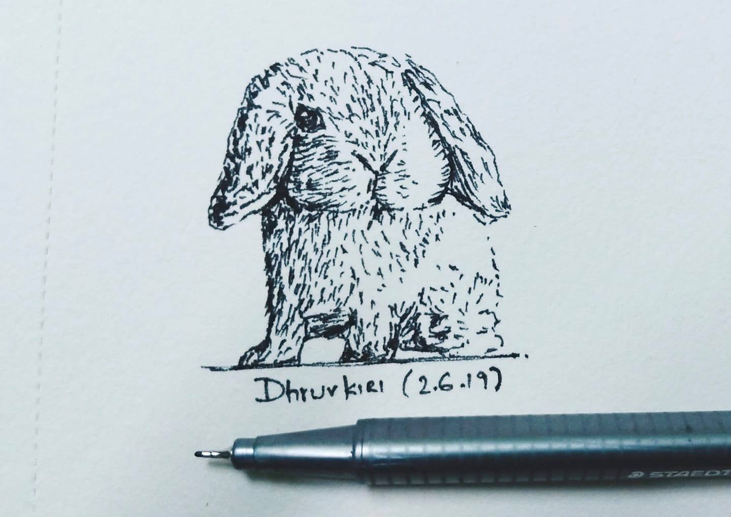 Dhruv Drawings - Rabbit from fineliner pen 😍 Website : https://goo.gl ...