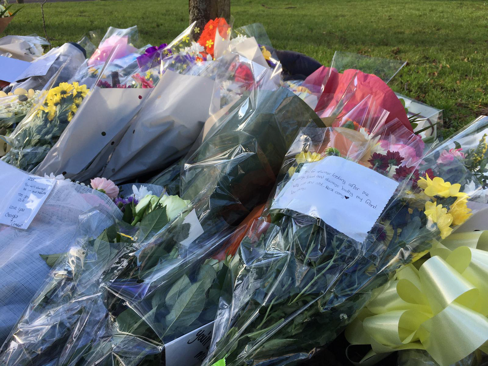 Essex Live - An update on the Liam Taylor murder trial