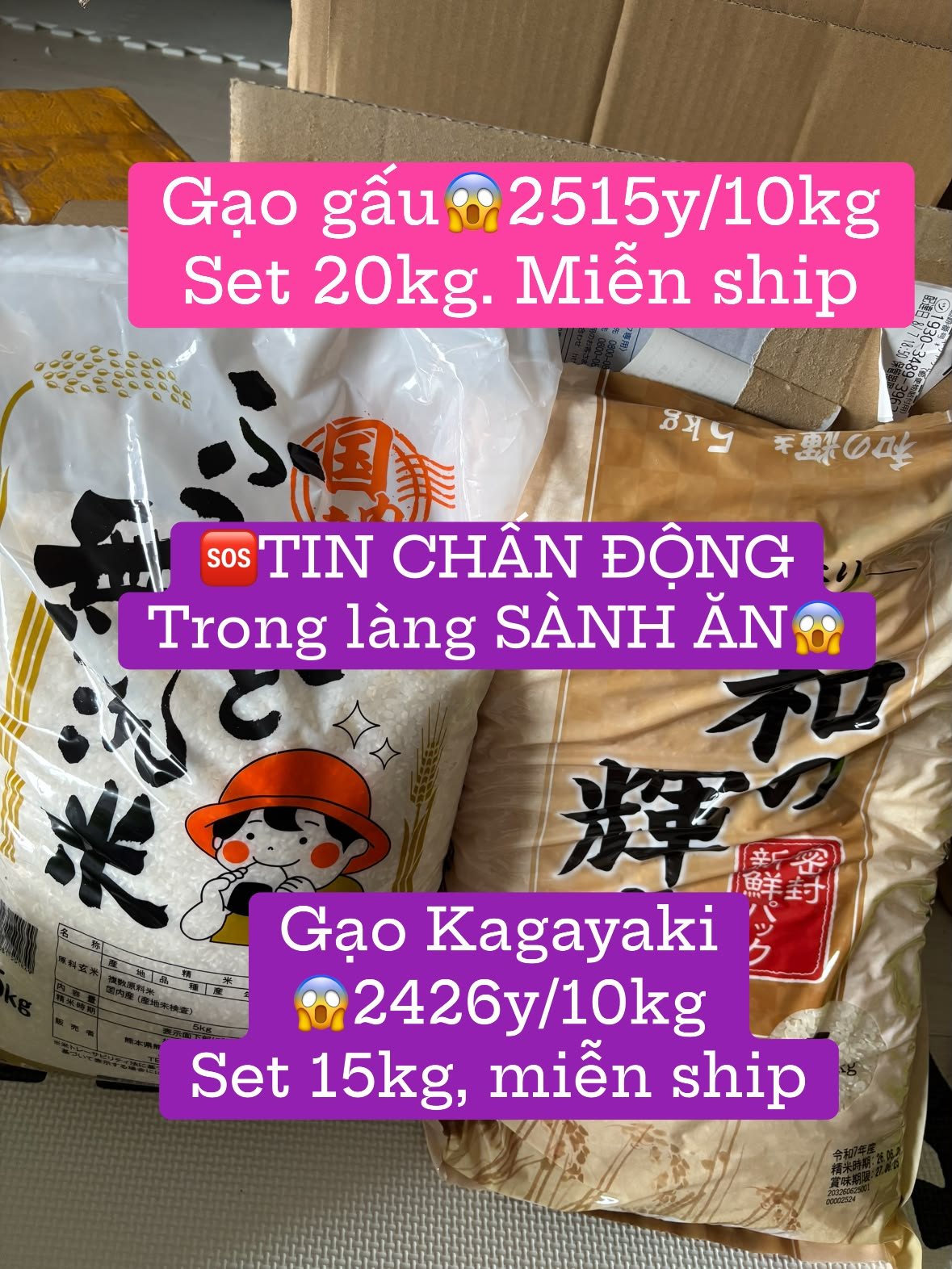 令和7年産こしひかり等お米が半額 30kg 9800円送料無料