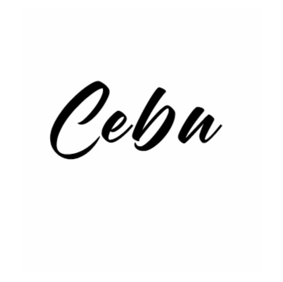 Unofficial: Cebu.official - The super soft dress with silk balloon ...