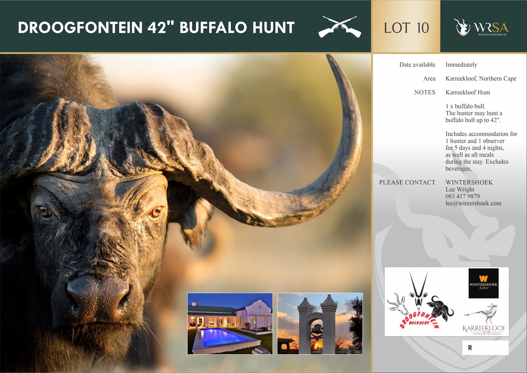 York Safaris