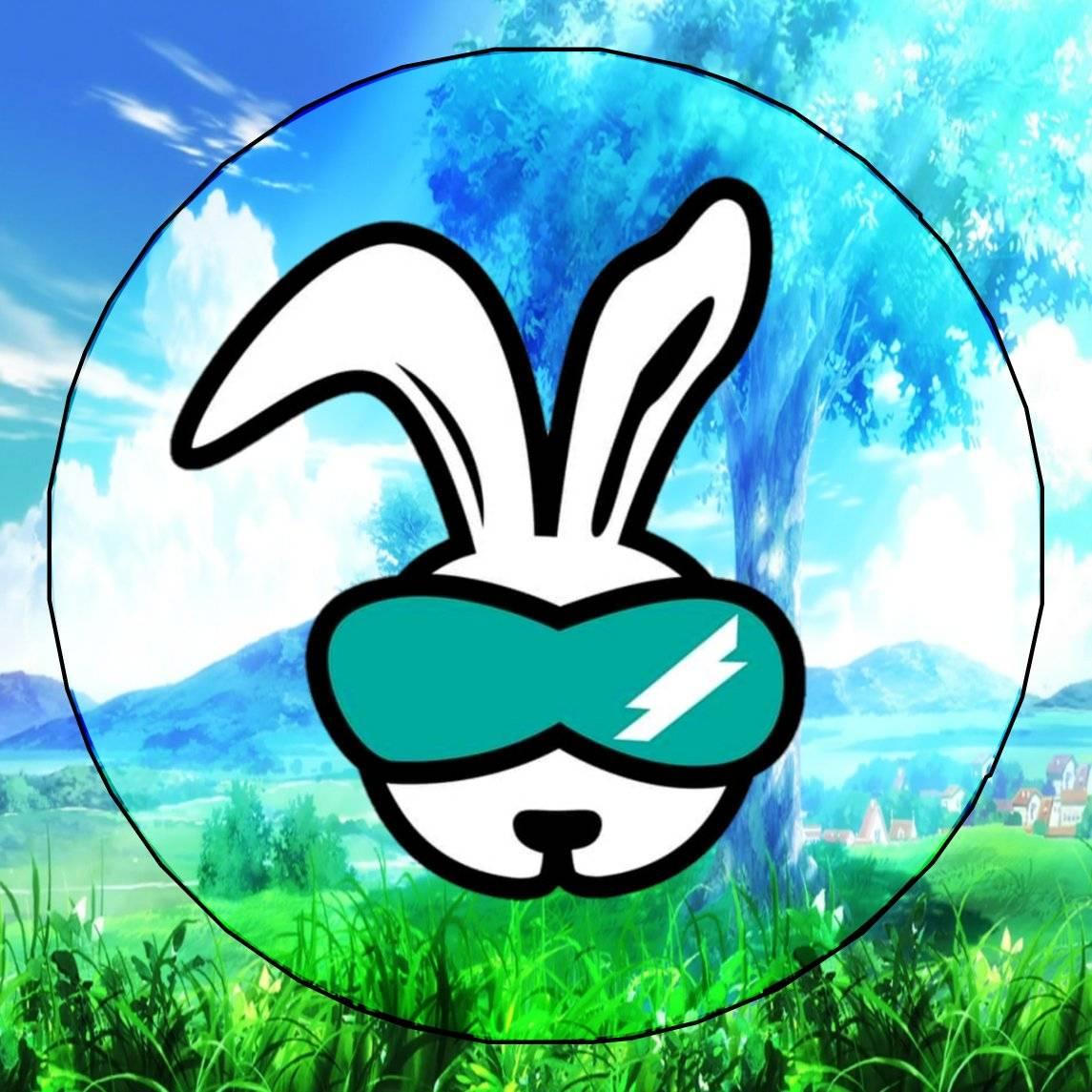 Rabbit Scan