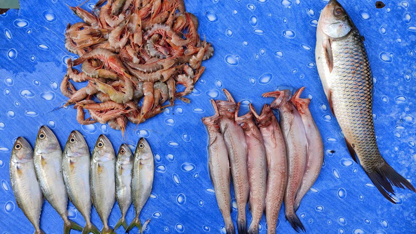 Debo's - Coming Soon Fish Momo for Fish Lovers!! Fish momos are ...