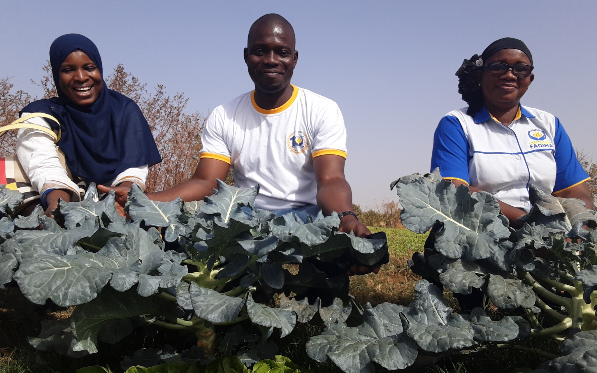 Microfinance Fadima | Ouagadougou