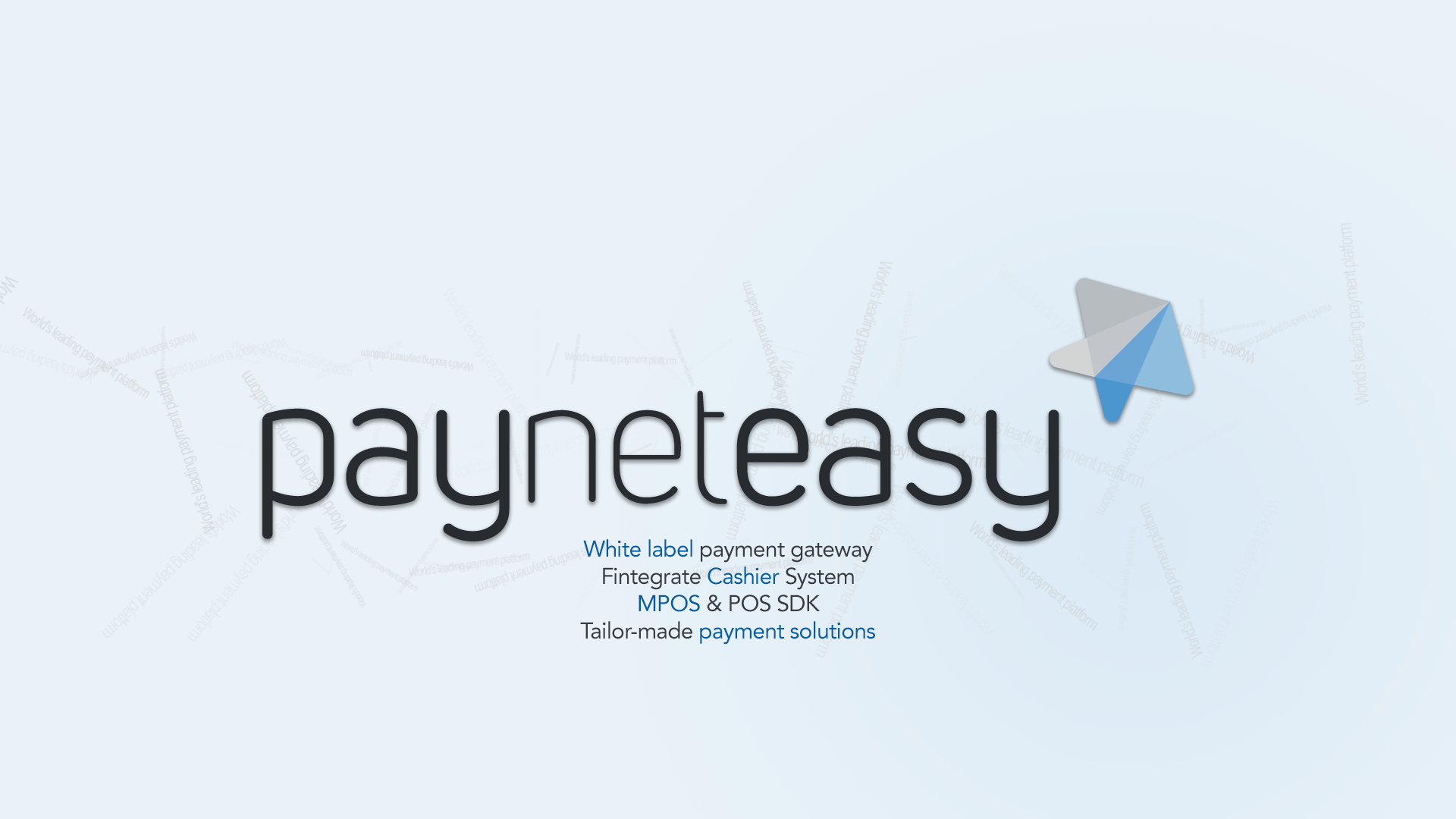Payneteasy Group