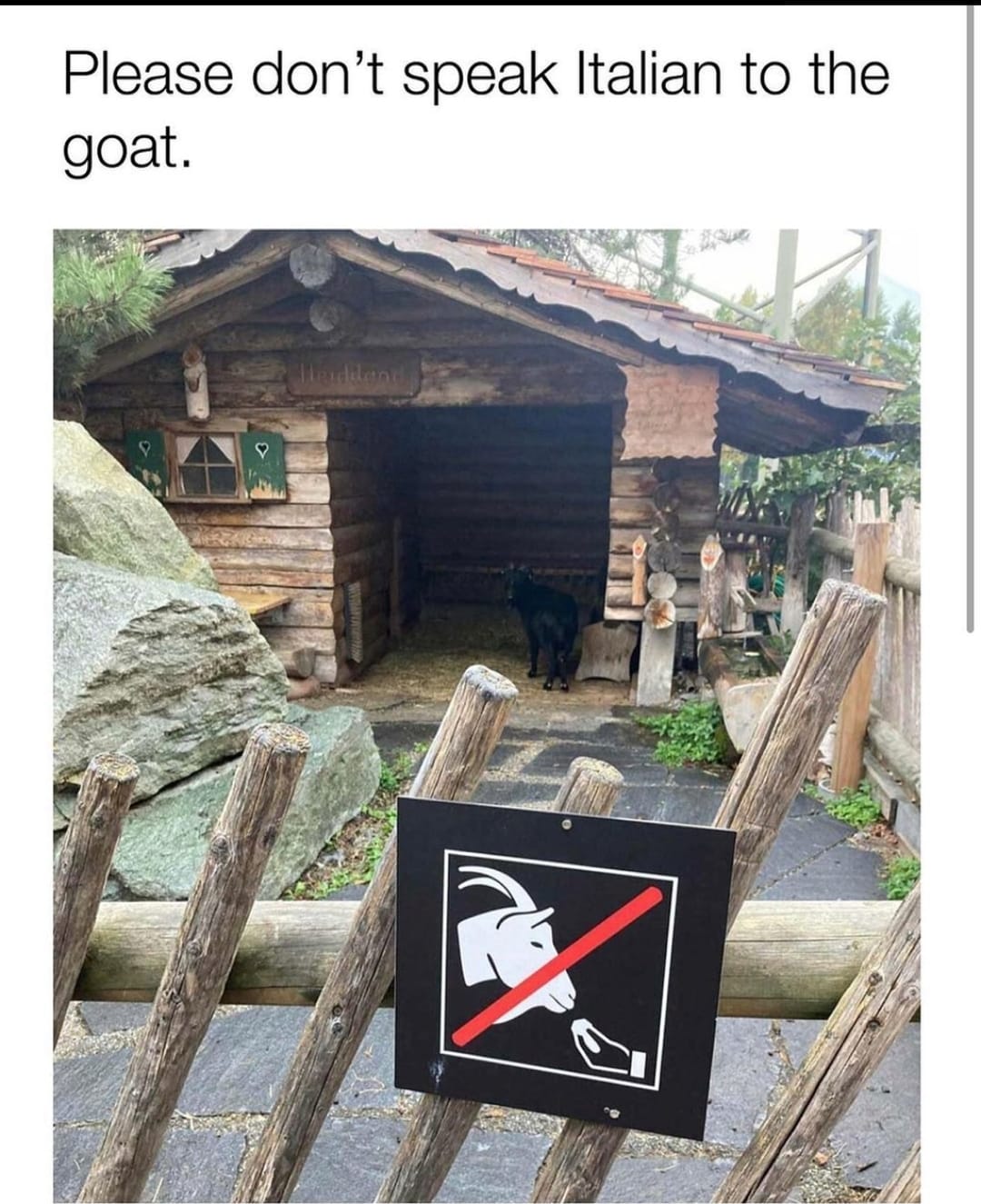 Je Ne Comprends Pas En Italien