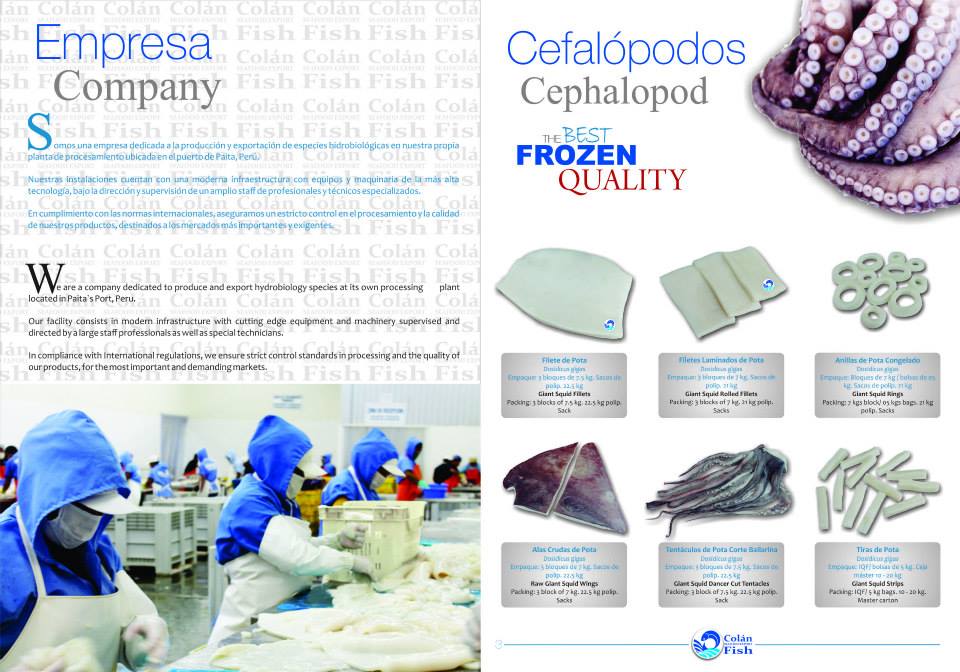 Colán Fish. Seafood Export | Paita