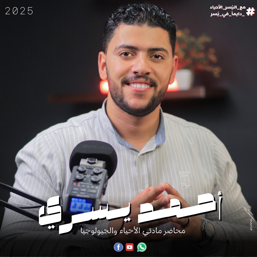 ahmed-youssry