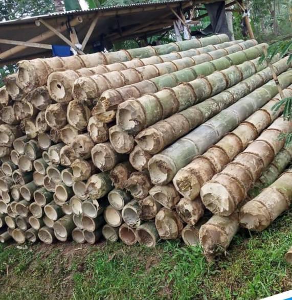 Usuk dan reng bambu