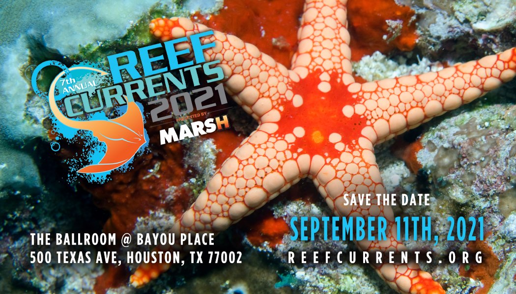 Reef Currents | Houston TX