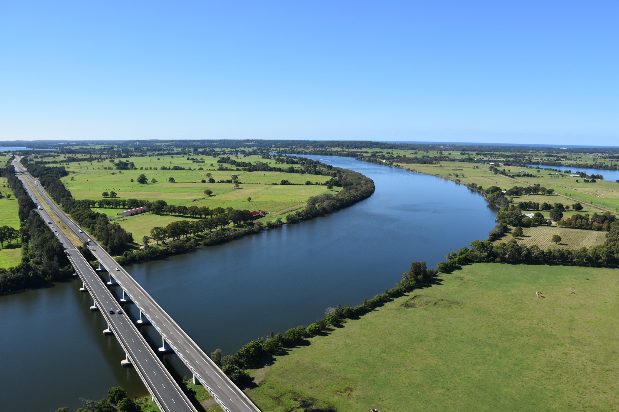 Know Your Estuary – Seagrass in the Manning River